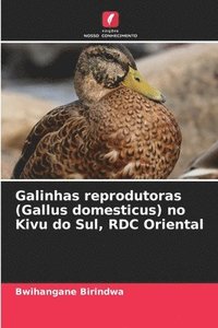 bokomslag Galinhas reprodutoras (Gallus domesticus) no Kivu do Sul, RDC Oriental
