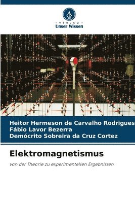 bokomslag Elektromagnetismus