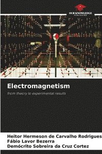 bokomslag Electromagnetism