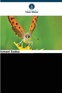 bokomslag Schadinsekten (Lepidoptera) bei der Nerica-Reisproduktion 3