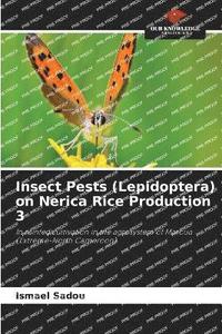 bokomslag Insect Pests (Lepidoptera) on Nerica Rice Production 3