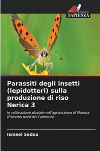 bokomslag Parassiti degli insetti (lepidotteri) sulla produzione di riso Nerica 3