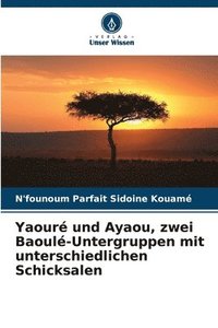 bokomslag Yaour und Ayaou, zwei Baoul-Untergruppen mit unterschiedlichen Schicksalen