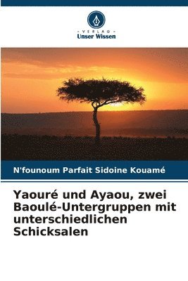 Yaour und Ayaou, zwei Baoul-Untergruppen mit unterschiedlichen Schicksalen 1