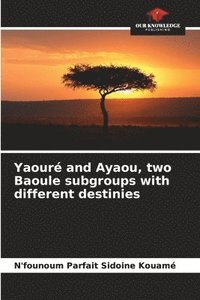 bokomslag Yaour and Ayaou, two Baoule subgroups with different destinies