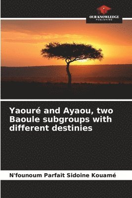 bokomslag Yaour and Ayaou, two Baoule subgroups with different destinies