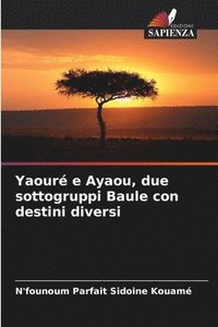 bokomslag Yaour e Ayaou, due sottogruppi Baule con destini diversi