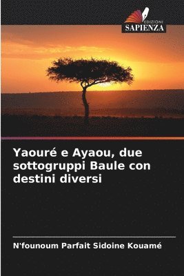 Yaour e Ayaou, due sottogruppi Baule con destini diversi 1