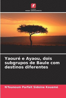 Yaour e Ayaou, dois subgrupos de Baule com destinos diferentes 1