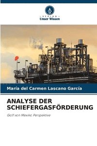 bokomslag Analyse Der Schiefergasfrderung