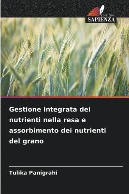 Gestione integrata dei nutrienti nella resa e assorbimento dei nutrienti del grano 1