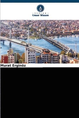 Slums und Sozialwohnungen in Istanbul 1