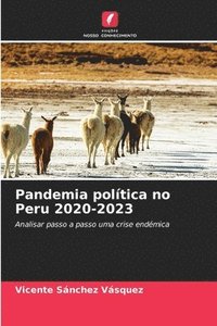bokomslag Pandemia poltica no Peru 2020-2023