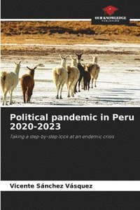 bokomslag Political pandemic in Peru 2020-2023
