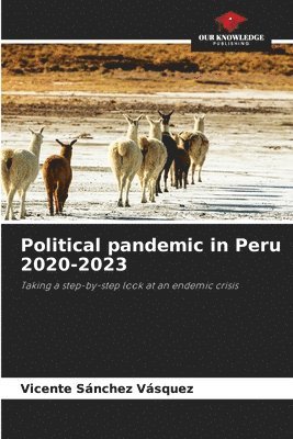 Political pandemic in Peru 2020-2023 1