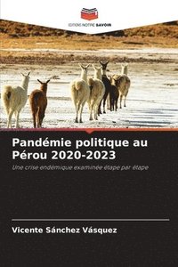 bokomslag Pandmie politique au Prou 2020-2023