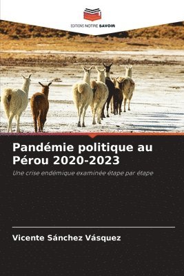 Pandmie politique au Prou 2020-2023 1