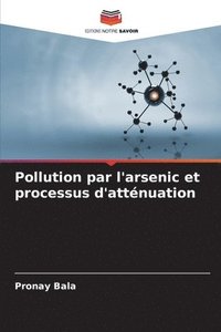 bokomslag Pollution par l'arsenic et processus d'attnuation