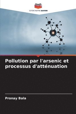 bokomslag Pollution par l'arsenic et processus d'attnuation