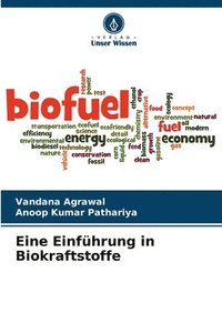 bokomslag Eine Einfuhrung in Biokraftstoffe