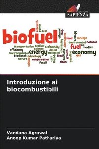 bokomslag Introduzione ai biocombustibili