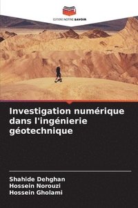 bokomslag Investigation numrique dans l'ingnierie gotechnique