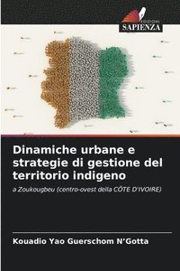 bokomslag Dinamiche urbane e strategie di gestione del territorio indigeno