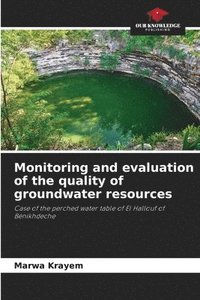 bokomslag Monitoring and evaluation of the quality of groundwater resources