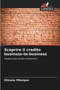 bokomslag Scoprire il credito business-to-business