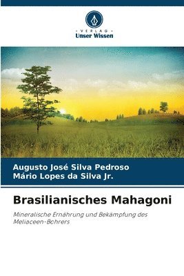Brasilianisches Mahagoni 1
