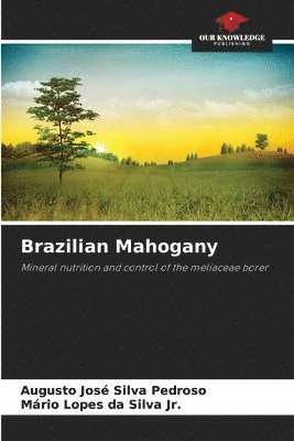 Brazilian Mahogany 1