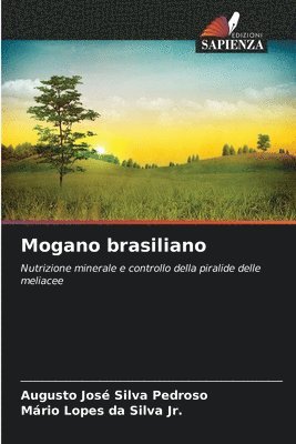 Mogano brasiliano 1