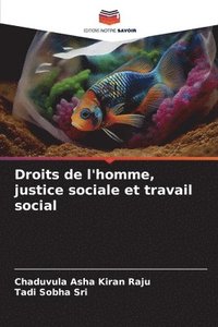 bokomslag Droits de l'homme, justice sociale et travail social
