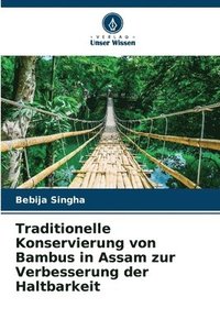 bokomslag Traditionelle Konservierung von Bambus in Assam zur Verbesserung der Haltbarkeit