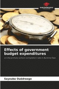 bokomslag Effects of government budget expenditures