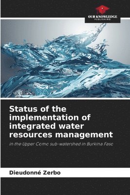 Status of the implementation of integrated water resources management 1