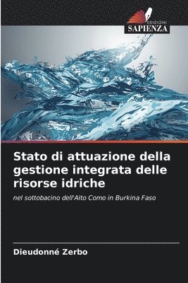 Stato di attuazione della gestione integrata delle risorse idriche 1