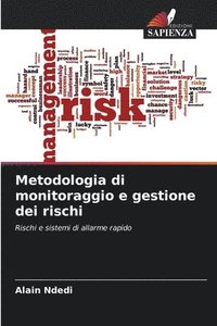 bokomslag Metodologia di monitoraggio e gestione dei rischi