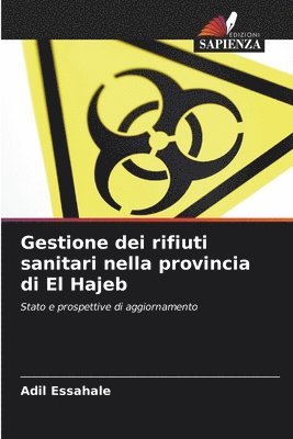 bokomslag Gestione dei rifiuti sanitari nella provincia di El Hajeb