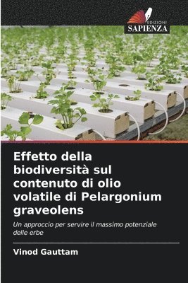 Effetto della biodiversit sul contenuto di olio volatile di Pelargonium graveolens 1