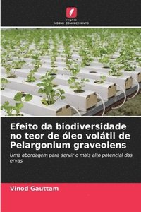 bokomslag Efeito da biodiversidade no teor de leo voltil de Pelargonium graveolens