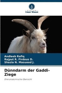 bokomslag Dnndarm der Gaddi-Ziege