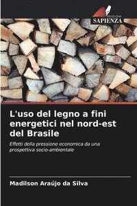 bokomslag L'uso del legno a fini energetici nel nord-est del Brasile