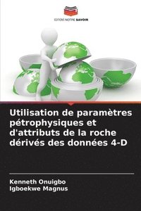 bokomslag Utilisation de paramtres ptrophysiques et d'attributs de la roche drivs des donnes 4-D