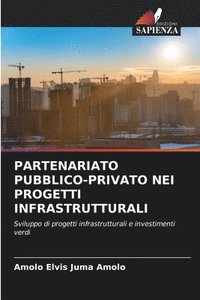 bokomslag Partenariato Pubblico-Privato Nei Progetti Infrastrutturali