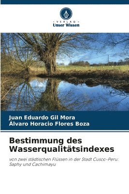 bokomslag Bestimmung des Wasserqualittsindexes