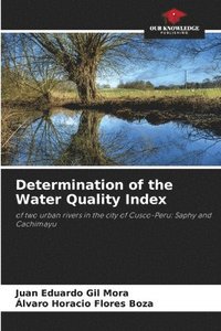 bokomslag Determination of the Water Quality Index