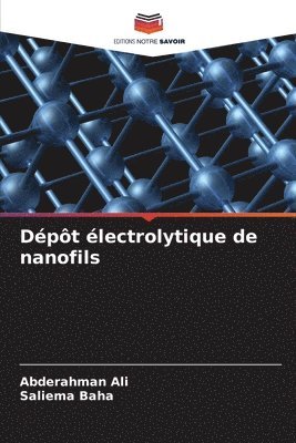 Dpt lectrolytique de nanofils 1