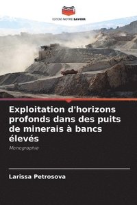 bokomslag Exploitation d'horizons profonds dans des puits de minerais  bancs levs