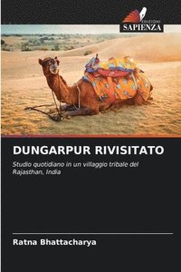 bokomslag Dungarpur Rivisitato